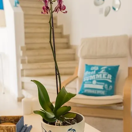Semi-detached Beach House Meneou