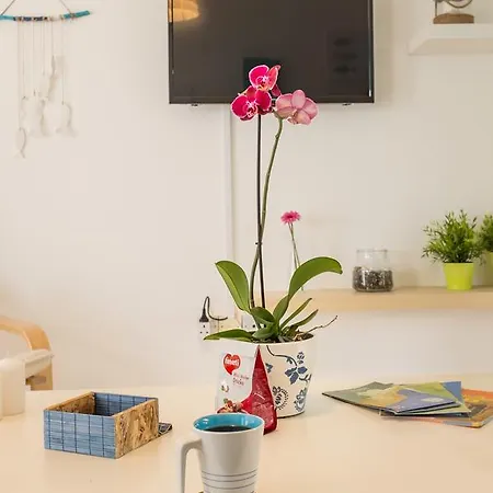 Casa vacanze Semi-detached Beach House *