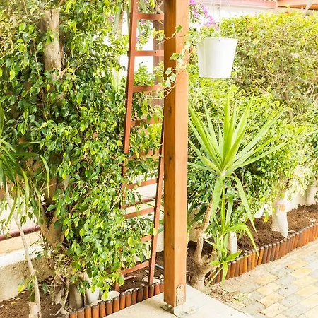 別荘 Semi-detached Beach House *
